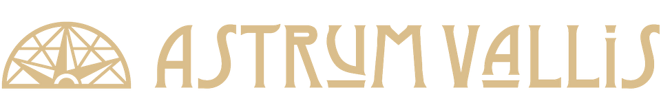 Marco Andre Ribeiro Monteiro